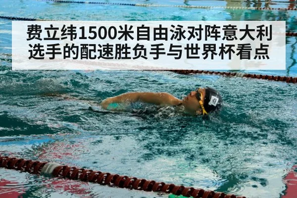 swimmer freestyle stroke pool