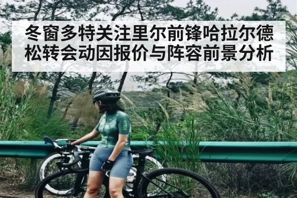 冬窗多特关注里尔前锋哈拉尔德松转会动因报价与阵容前景分析